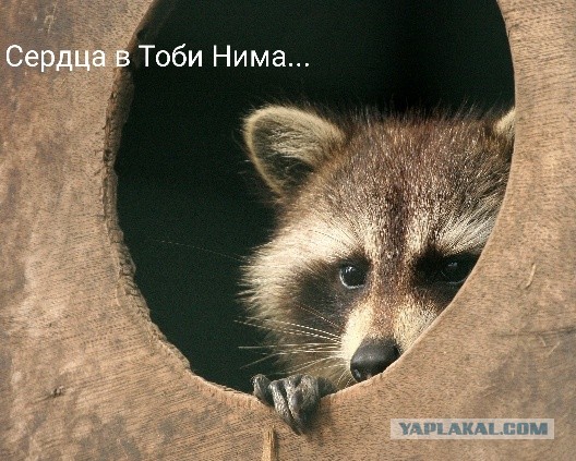 Мало!