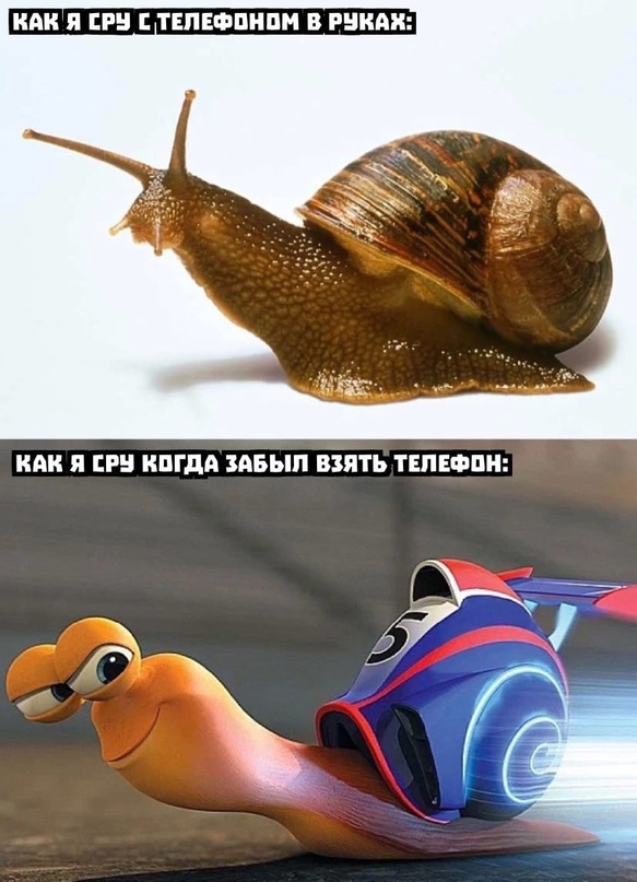 Картинки и мемы для настроения - 125
