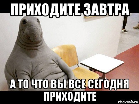 МИД объяснил нежелание РФ консультироваться с Японией по промыслу ресурсов у Курил