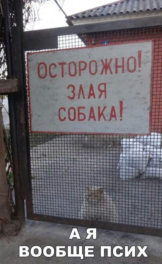 Так себе картинки 18.02.23