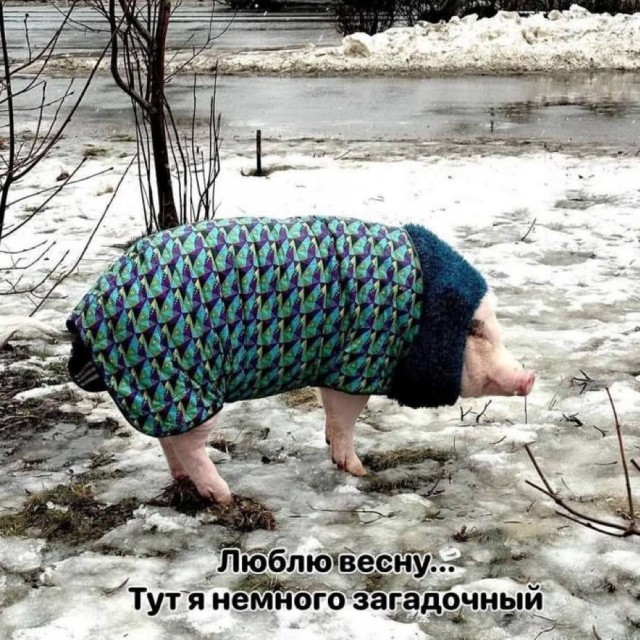 Картинки и мемы для настроения - 137