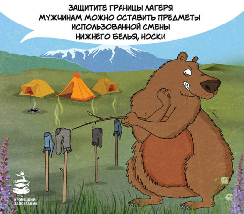 Как не огрести от медведя: 5 основных правил