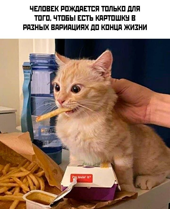 Немного разных картинок 13.05.23