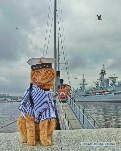 «Разведенные подруги жены» - первая категория опасности для счастливых семей