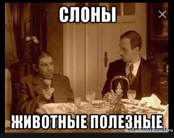 Попрошайка