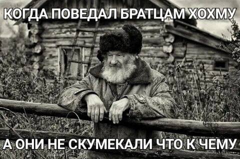 Весёлый полтишок 23.01.24