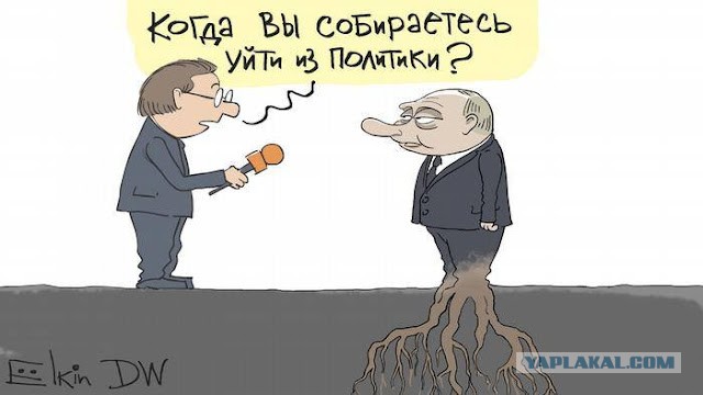 Такер Карлсон взял интервью у Путина, — Newsweek