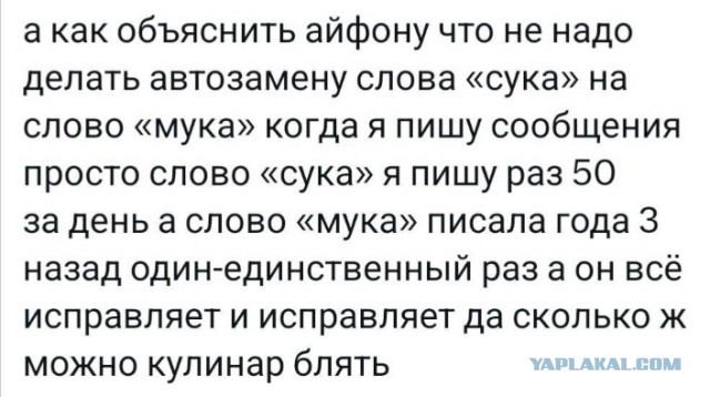 Всего понемногу. От 25.02.24