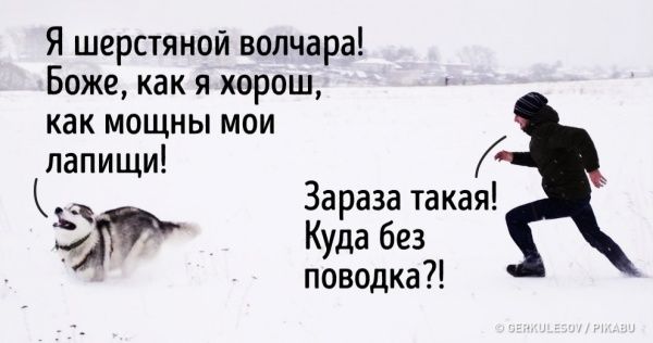 От сумы и тюрьмы не зарекайся...
