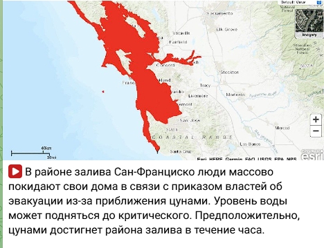 Предсказание Жириновского