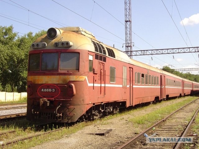 Припять туристический экстрим