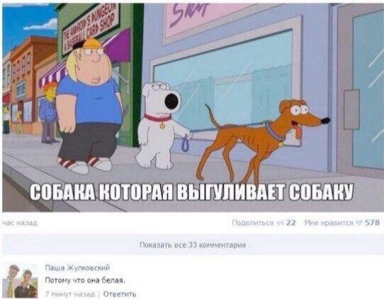 Завалялось тут случайно немного забавных картинок