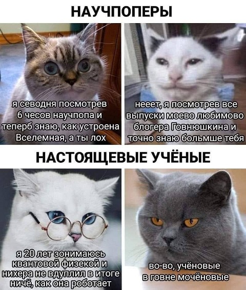 Марина, не нуди