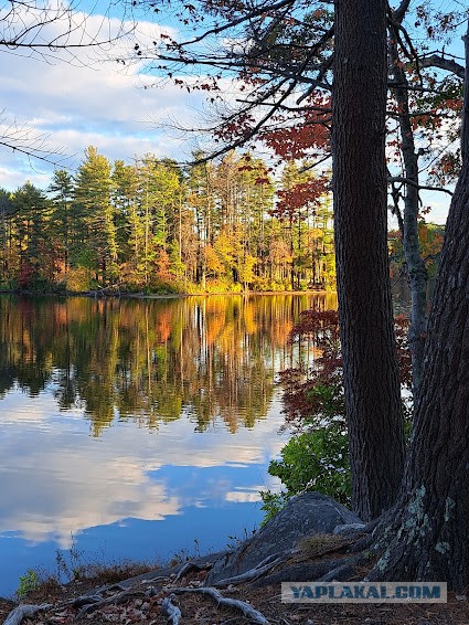 Техас готов к Хэллоуину
