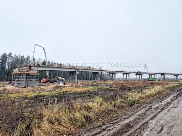 Из Москвы можно будет доехать до Урала за шесть часов — ВСМ-2 соединит столицу с Екатеринбургом