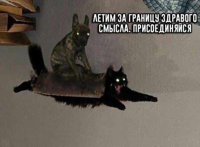 Картинки для деградации 161 (разной степени свежести)