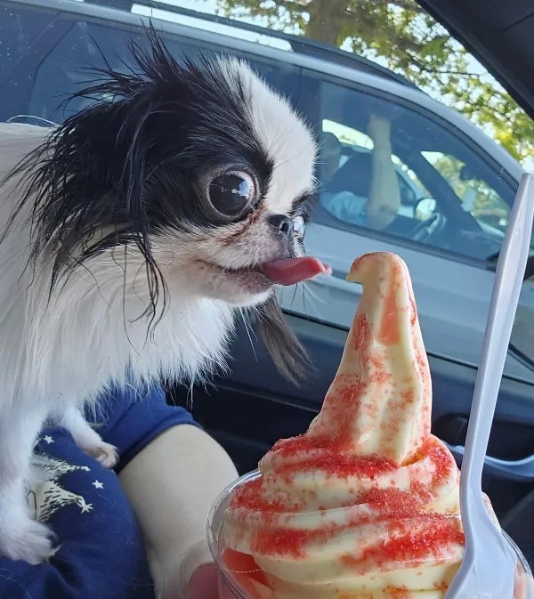 Забавные и интересные фото из Сети 23.04.26