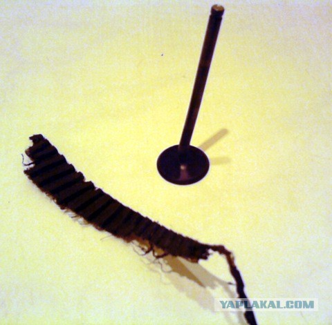 Автолюбителей пст.