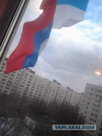 Видео-трансляция послания Путина