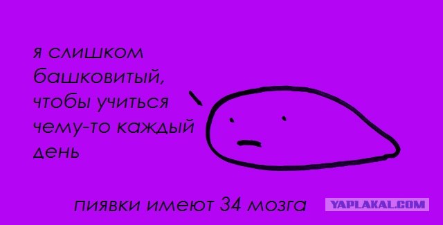 Забавные минифакты в картинках