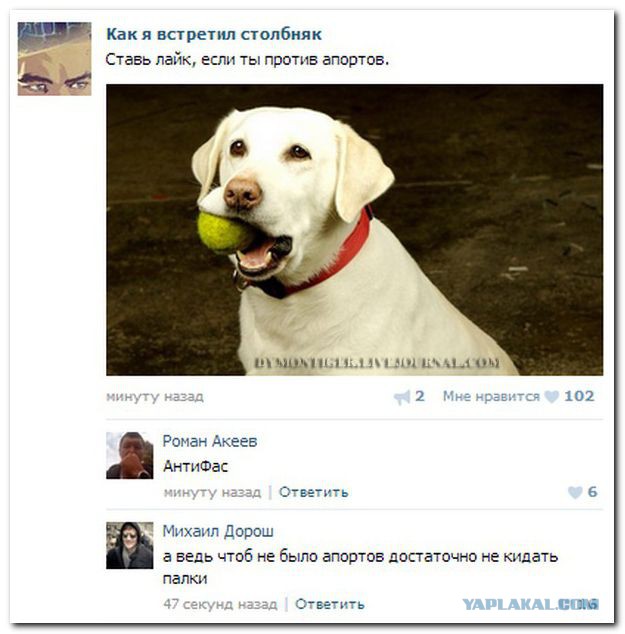Смешные комментарии из социальных сетей