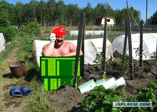 Вестник соцсетей
