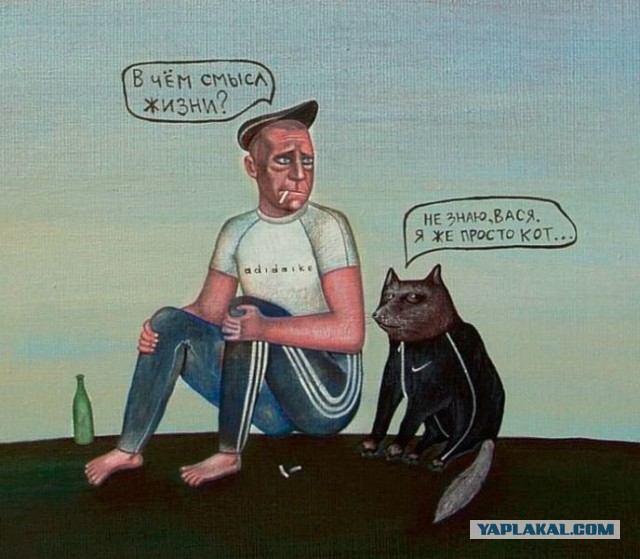 Кот против собаки.
