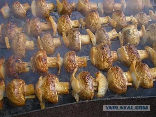 Готовим на костре или лесная кулинария