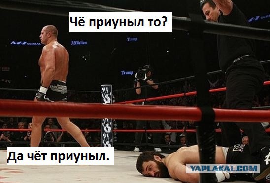 Картинки