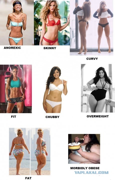 Девушка "plus size"