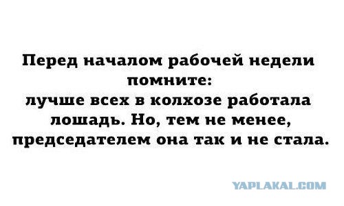 Картинки разные