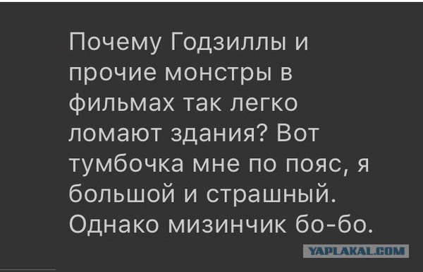 Картинки из интернета