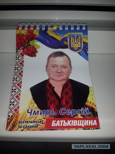 Выборы-выборы! Кандидаты... молодцы.