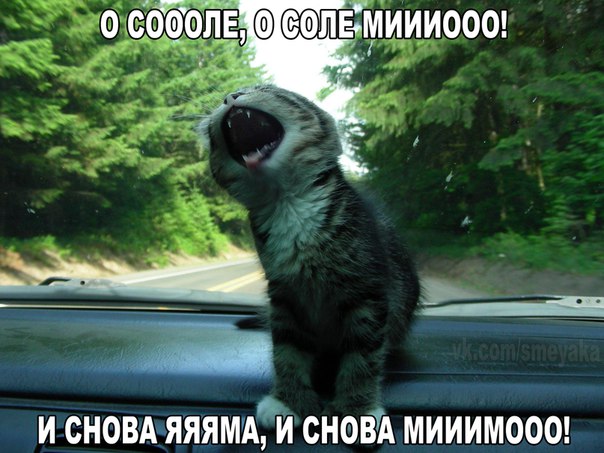 Картинки и демотиваторы