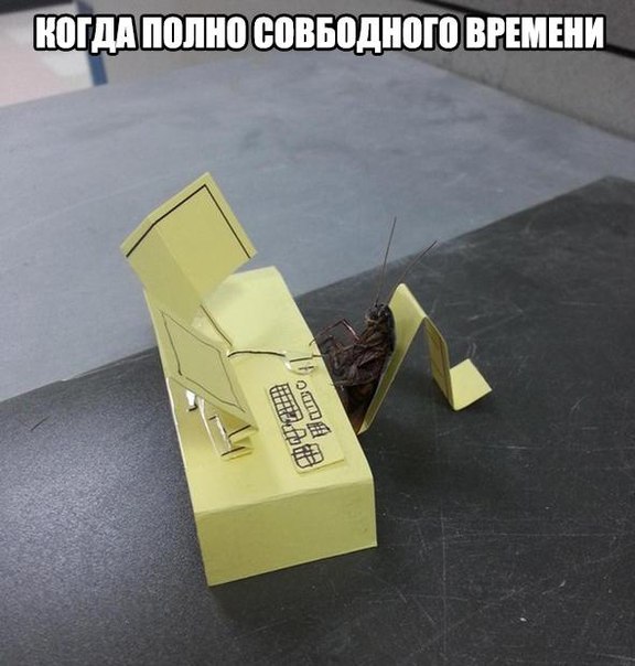 Подборка прикольных картинок