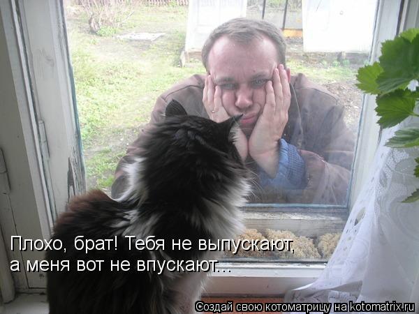 Занимательные и смешные фотографии