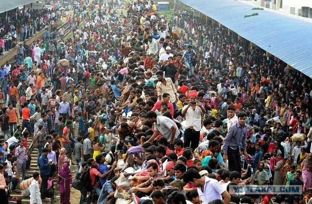 Везут же люди!