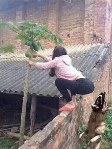 Демы без Темы