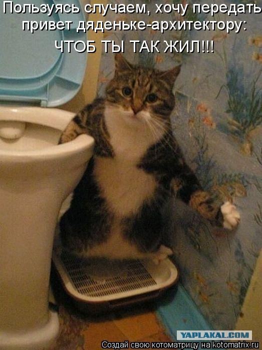 Весёлые картинки