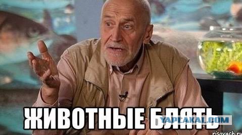 Вот люди живут