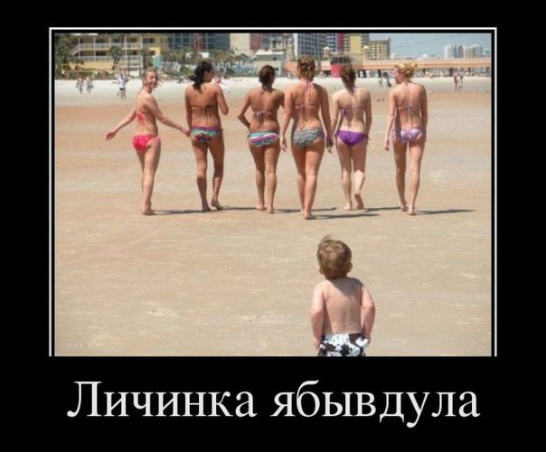 Подборка картинок