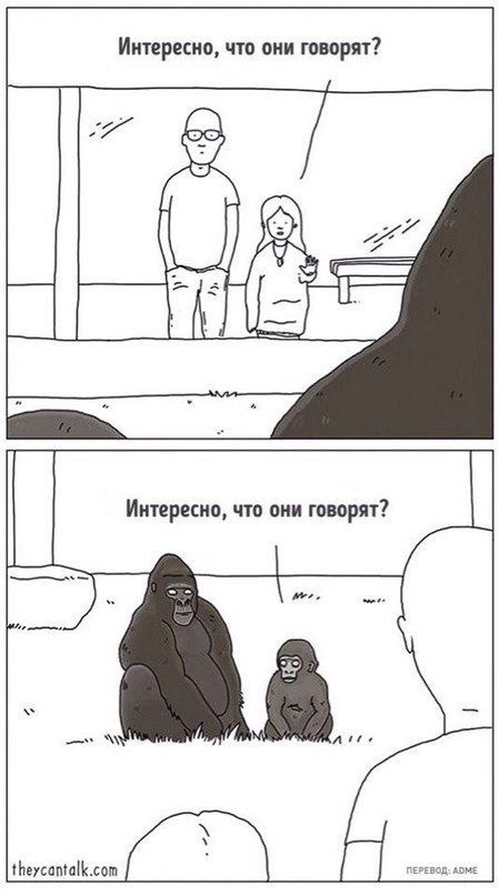 Весёлые картинки