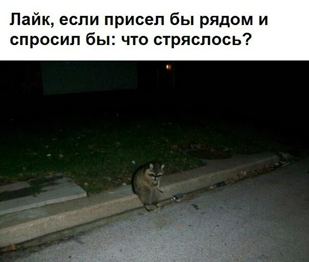 Абсурдный юмор ч.26