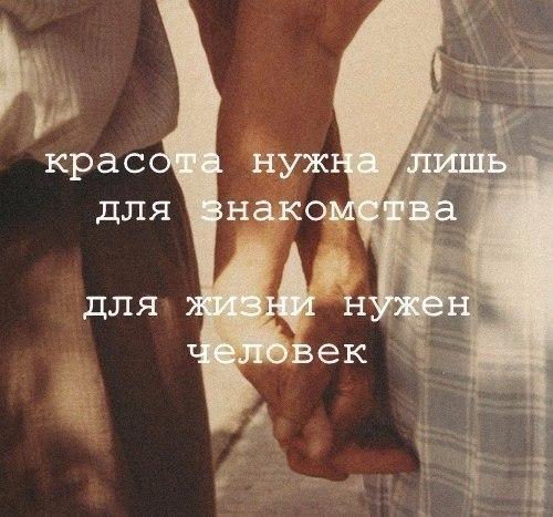 Порция картинок из сети
