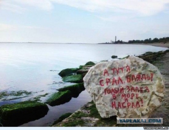 Немного фоток Бердянска