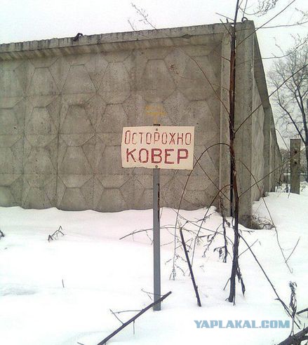 Курьезные и просто красивые фото