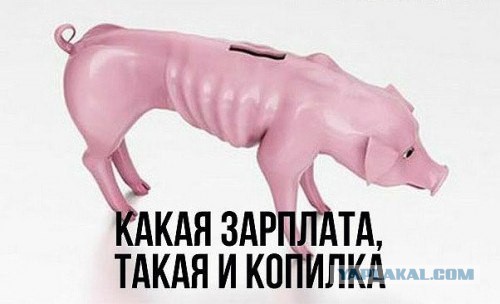 Смешные картинки с надписями