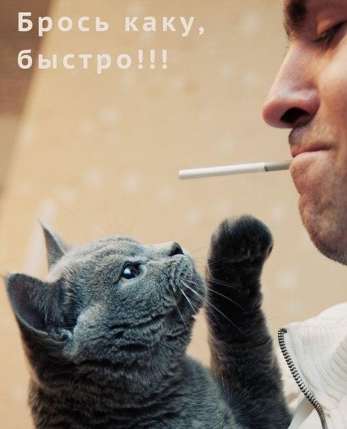 Соцсети - и смех и грех