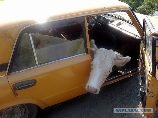 Заварили в гараже на 25 лет: новая экспортная Lada ВАЗ-2106