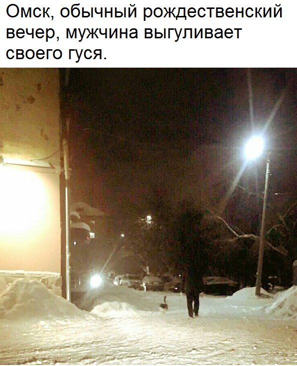 Картинки всяко-разные